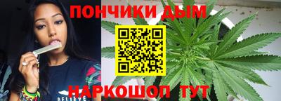 дмт Пенза