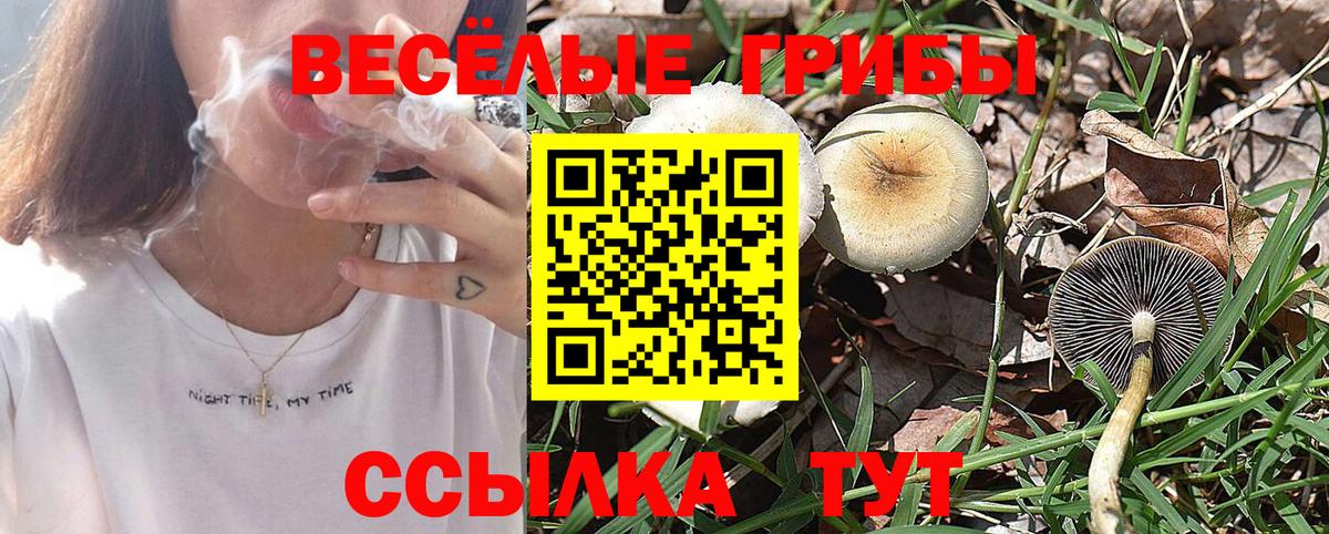 Галлюциногенные грибы прущие грибы Подольск